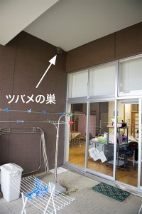 保健室の巣2